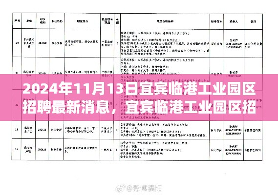 宜宾临港工业园区最新招聘动态与多元观点探析（2024年11月13日）