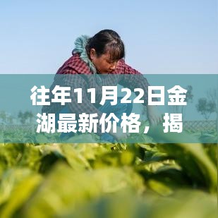 往年11月22日金湖最新价格，揭秘往年11月22日金湖最新价格，市场走势深度解析