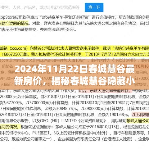 春城慧谷最新房价报告，揭秘独特小店与房价背后的故事