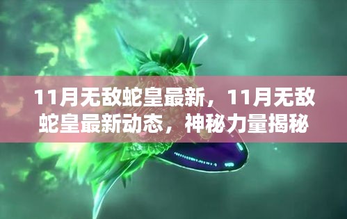 揭秘神秘力量与独家攻略，11月无敌蛇皇最新动态与揭秘