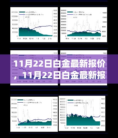 11月22日白金最新报价，洞悉市场走势，把握投资机遇