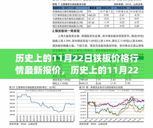 历史上的11月22日铁板价格行情最新报价，历史上的11月22日铁板价格行情最新报价深度评测