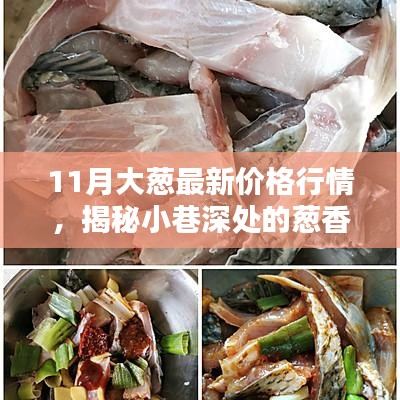 揭秘特色小店的独特魅力与最新大葱价格行情深度解析