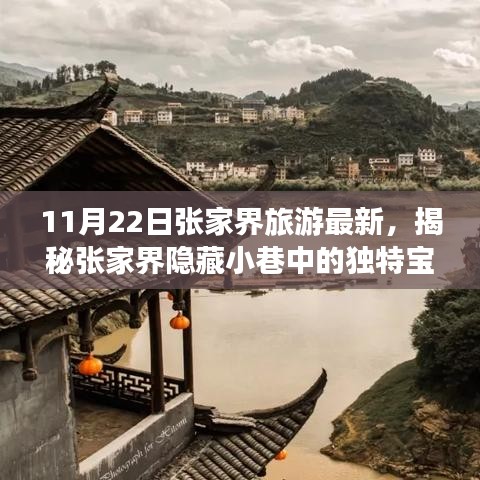 揭秘张家界隐藏小巷中的宝藏，11月22日最新旅游指南与特色小店探秘