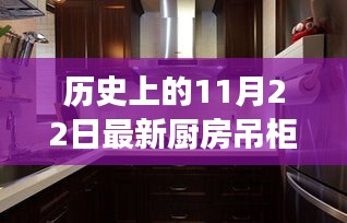 历史上的11月22日厨房吊柜设计趋势与效果图展示