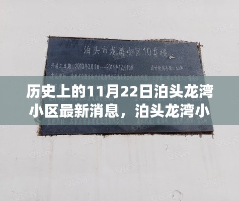 泊头龙湾小区，穿越时空的社区发展史纪实——最新消息更新日，11月22日纪实报道