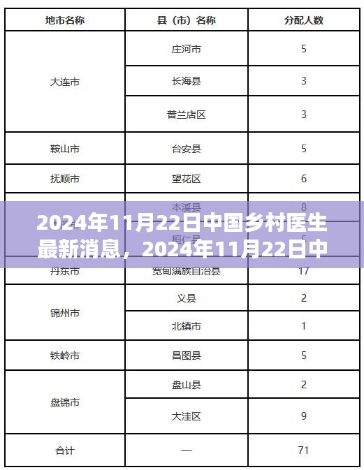 2024年11月22日中国乡村医生最新动态及消息