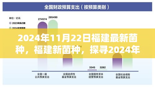 探寻福建最新菌种，揭秘科技奇迹背后的秘密，日期，2024年11月22日