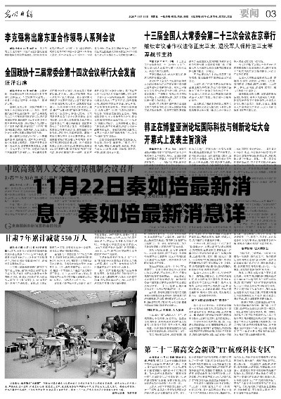 秦如培最新消息详解，三大要点深度剖析（11月22日更新版）