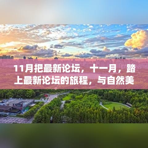 十一月最新论坛之旅，与自然共舞，探寻内心宁静与平和的旅程