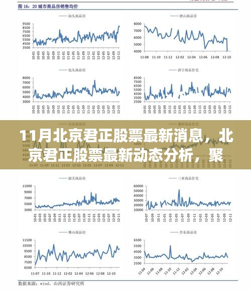 北京君正股票最新动态解析，聚焦投资前景与最新消息