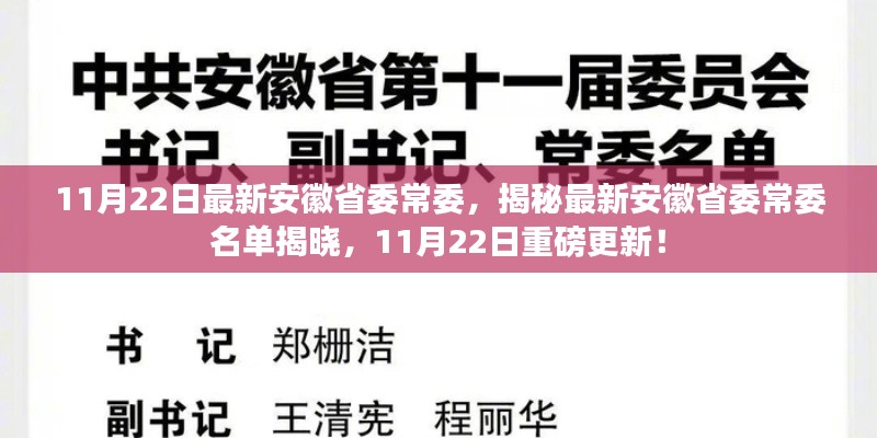 安徽省委常委名单最新揭秘，重磅更新，涉政热点解析