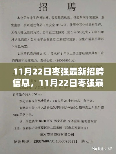 11月22日枣强最新招聘信息全面解析与介绍