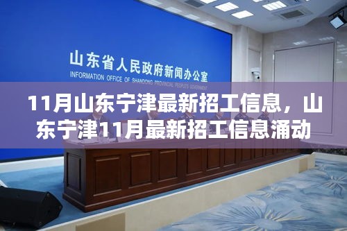 山东宁津11月最新招工信息涌动，新机遇引领时代风潮，招工热潮开启！