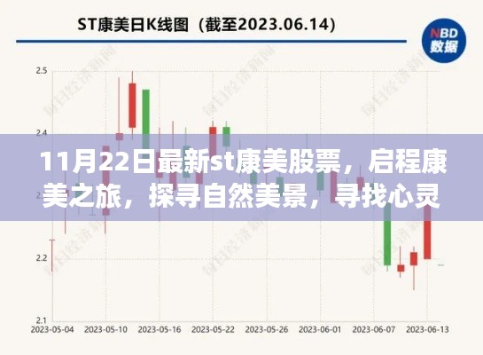 11月22日最新st康美股票，启程康美之旅，探寻自然美景，寻找心灵净土