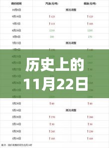 揭秘，历史上的11月22日汽油调价最新消息及调整时间全解析！