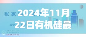 揭秘未来科技浪潮，2024年有机硅新品引领智能生活革新之旅