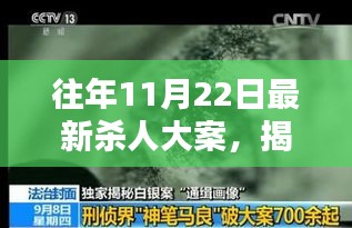 揭秘往年11月22日重大杀人案回顾与深度解析，最新杀人大案揭秘与案件回顾