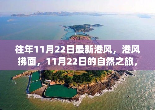 港风拂面的自然之旅，寻找内心的桃花源在11月22日绽放