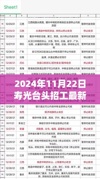 寿光台头招工最新消息解读，聚焦最新招工动态（2024年11月22日）