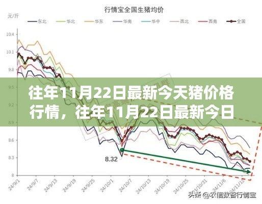 往年11月22日猪价格行情解析，今日猪价与小红书热门资讯一览