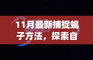 揭秘11月最新捕捉蝎子方法，探索自然秘境，心灵平静之旅开启