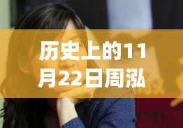 历史上的11月22日，周泓最新技能学习指南与事件探索步骤