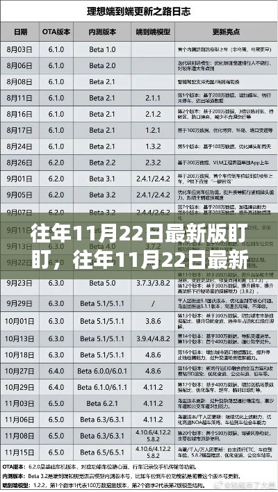 往年11月22日最新版盯盯，深度评测与详细介绍