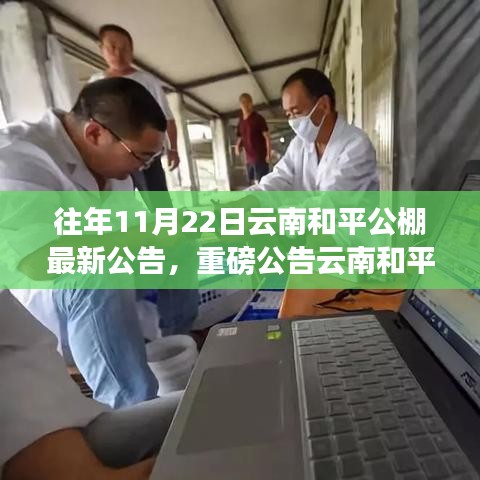 云南和平公棚重磅公告，启程探寻心灵净土之旅