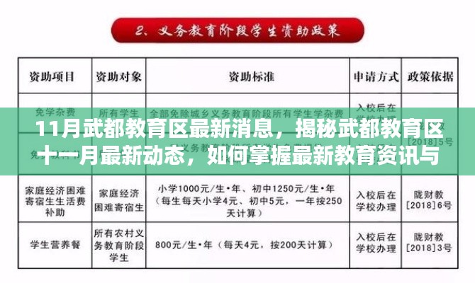 揭秘武都教育区十一月最新动态，掌握最新教育资讯与技能提升指南