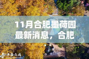 合肥墨荷园十一月最新动态及深远影响解析