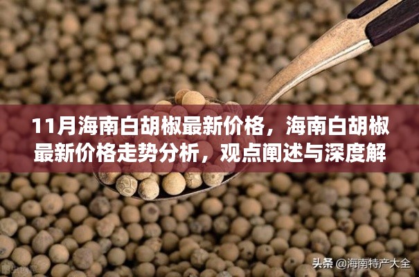 海南白胡椒最新价格动态及分析解读，深度阐述走势与观点