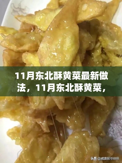 11月东北酥黄菜，美食与美景的双重追寻，解锁心灵宁静密码