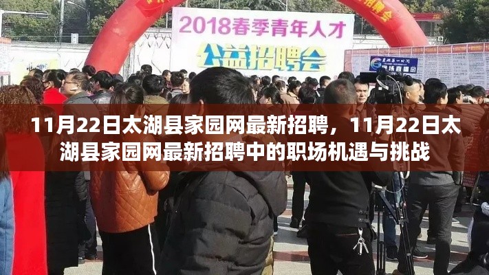 11月22日太湖县家园网最新招聘，职场机遇与挑战一览