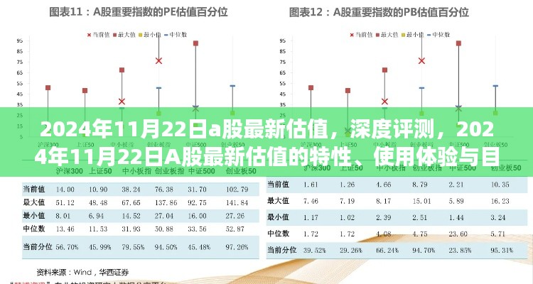 深度解析，2024年11月22日A股最新估值特性、用户体验与目标用户群体分析