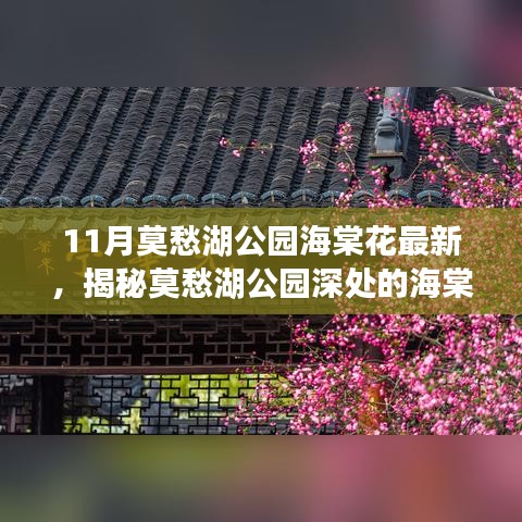 揭秘莫愁湖公园海棠秘境，海棠花盛开与小巷深处的特色小店