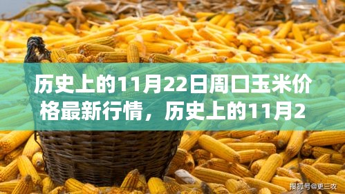 历史上的11月22日周口玉米价格深度解析与最新行情回顾