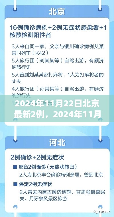 北京新增两例病例背后的最新报告，深度解析与关注（2024年11月22日）