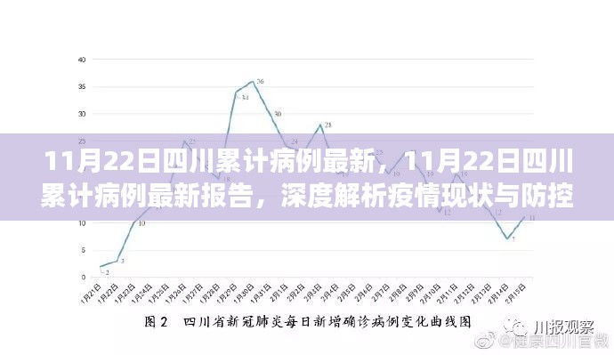 11月22日四川累计病例最新报告，深度解析疫情现状与防控进展