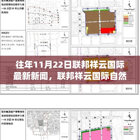 联邦祥云国际最新新闻揭秘，自然探索之旅寻找心灵宁静与自然的魔法时刻