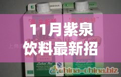 紫泉饮料招聘启事，产品特性、用户体验与目标用户群体深度解析，探寻最新人才加盟