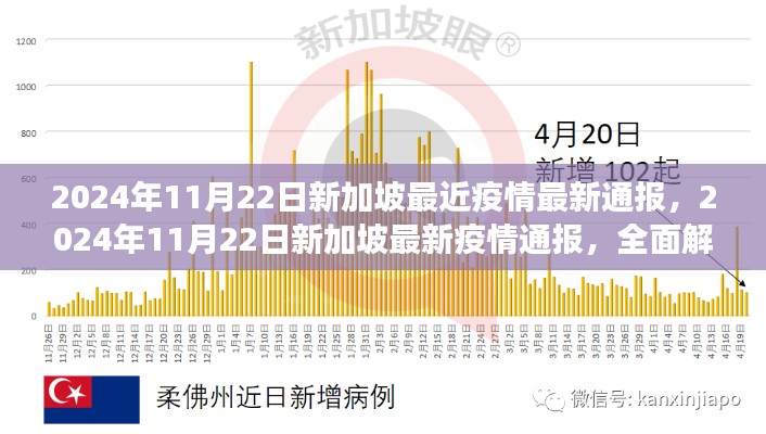 新加坡疫情最新动态，全面解析与前沿观察（2024年11月22日）