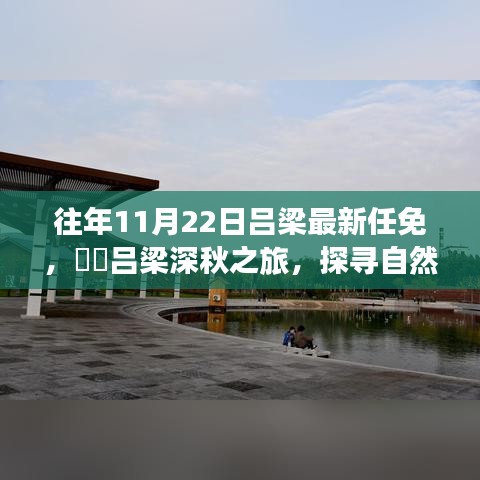 吕梁任免消息揭秘与深秋自然美景探寻之旅