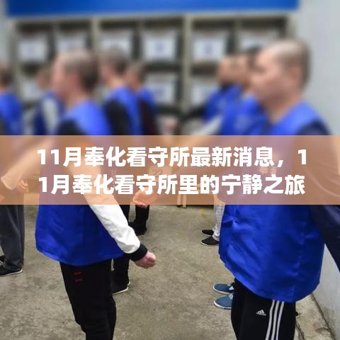 11月奉化看守所，心灵与自然美景的相遇之旅