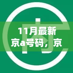 11月最新京a号码，京A新贵降临，全面解读11月最新京A号码