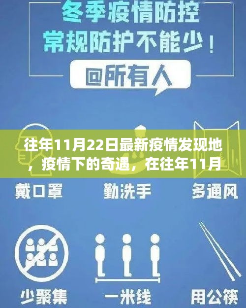 往年11月22日疫情下的奇遇，阳光角落里的最新疫情发现