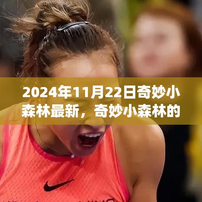 奇妙小森林的日常趣事，秋风起时的暖心陪伴 2024年最新更新