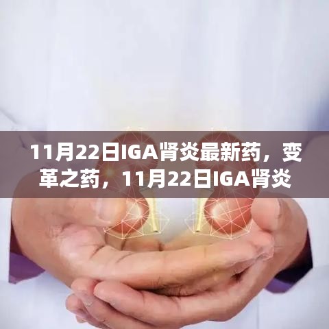 变革之药，IGA肾炎新药照亮希望之光，学习成就自信之路（11月22日新药发布）