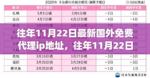 往年11月22日国外免费代理IP地址科普与风险提示，使用需谨慎