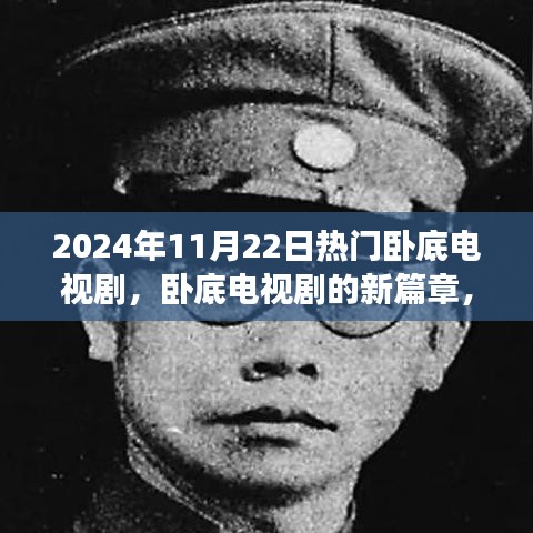 2024年热门卧底电视剧的魅力与争议，新篇章的探讨